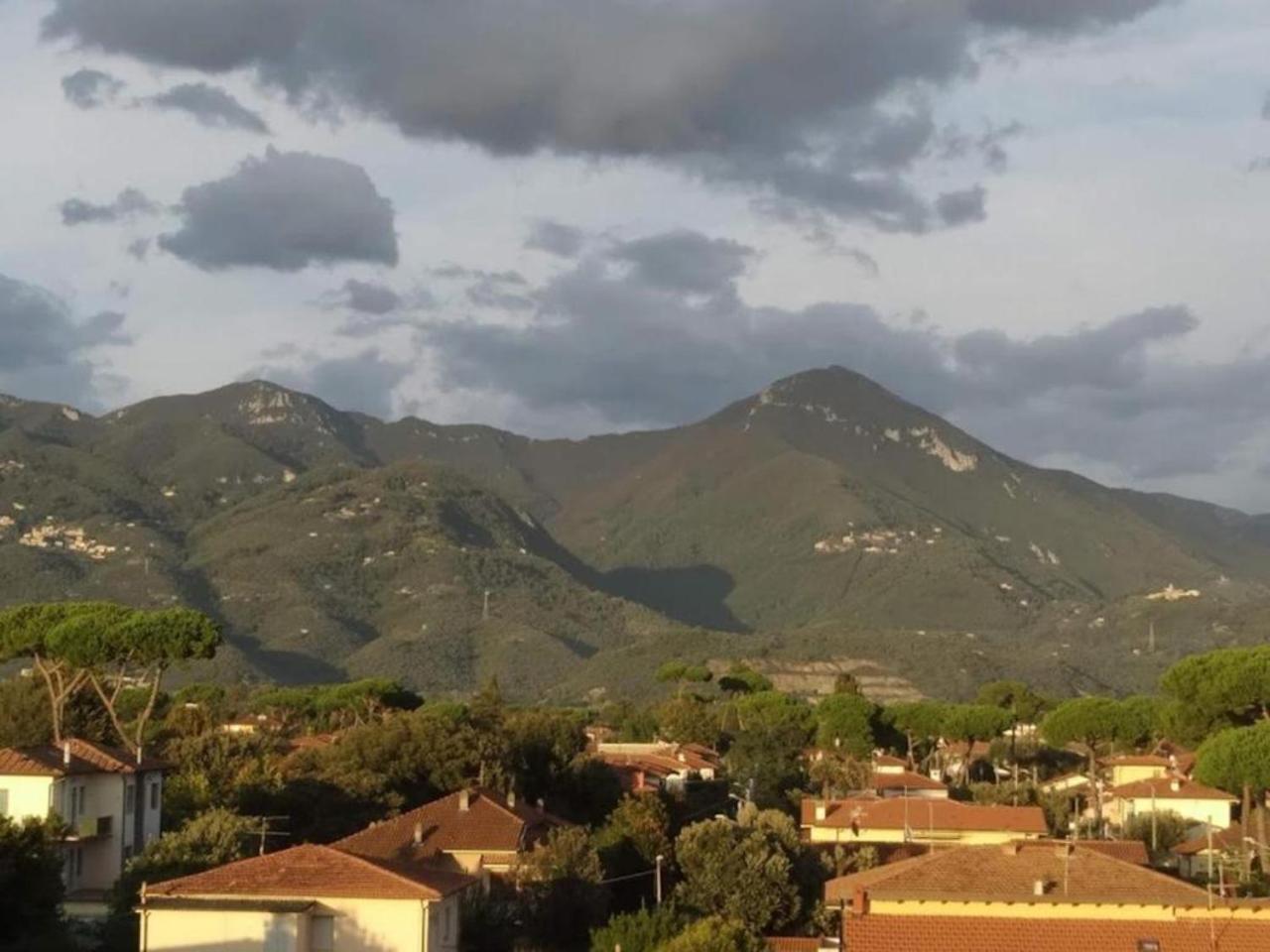 Hotel Villa Barsanti Pietrasanta Eksteriør billede